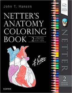 best anatomy drawing books for beginners